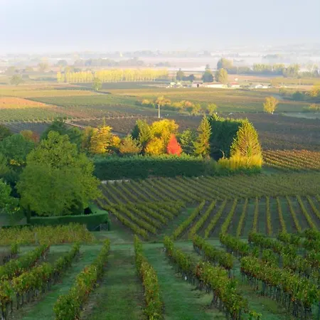 Romantic Nr St Emilion With Private Pool And Views To For * Pujols (Gironde)